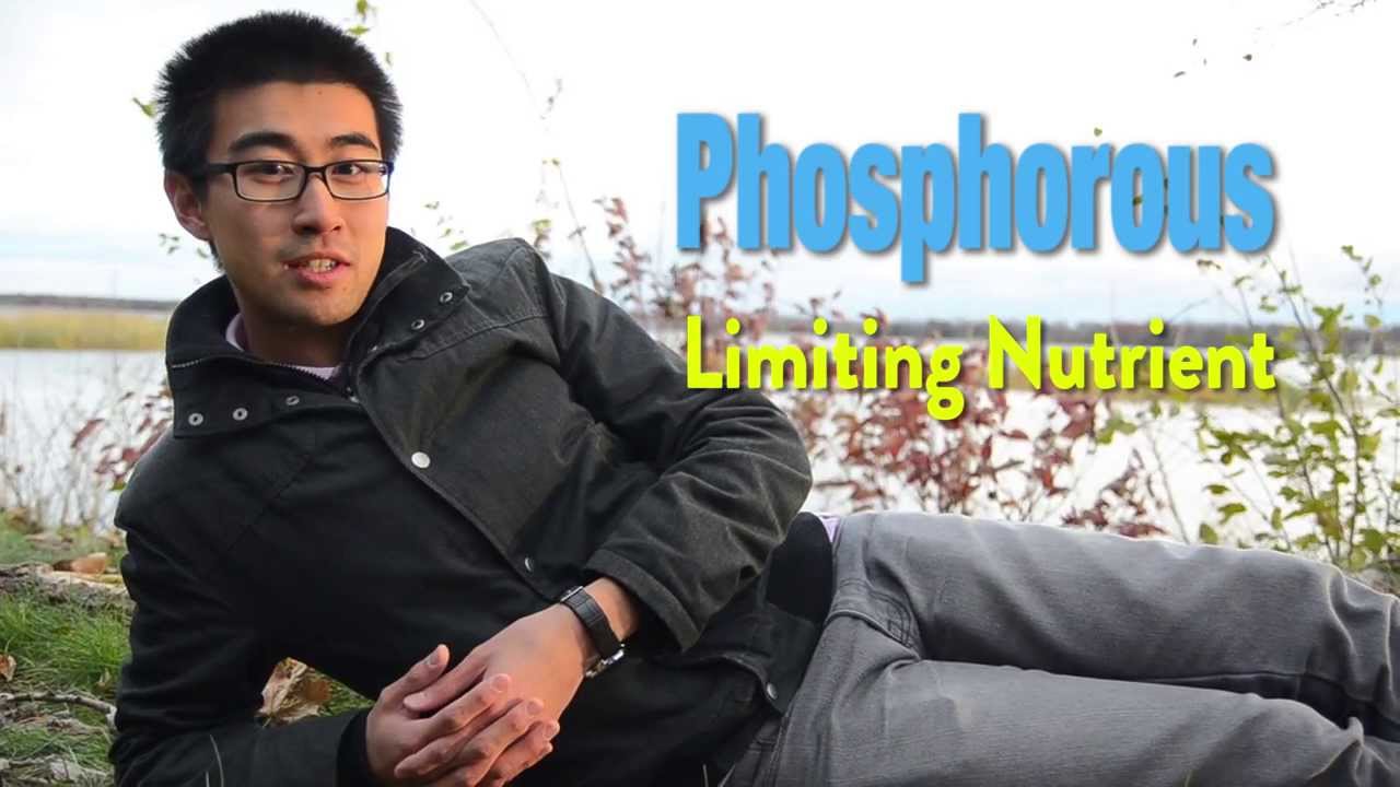 Enhanced Biological Phosphorous Removal: Wastewater Treatment