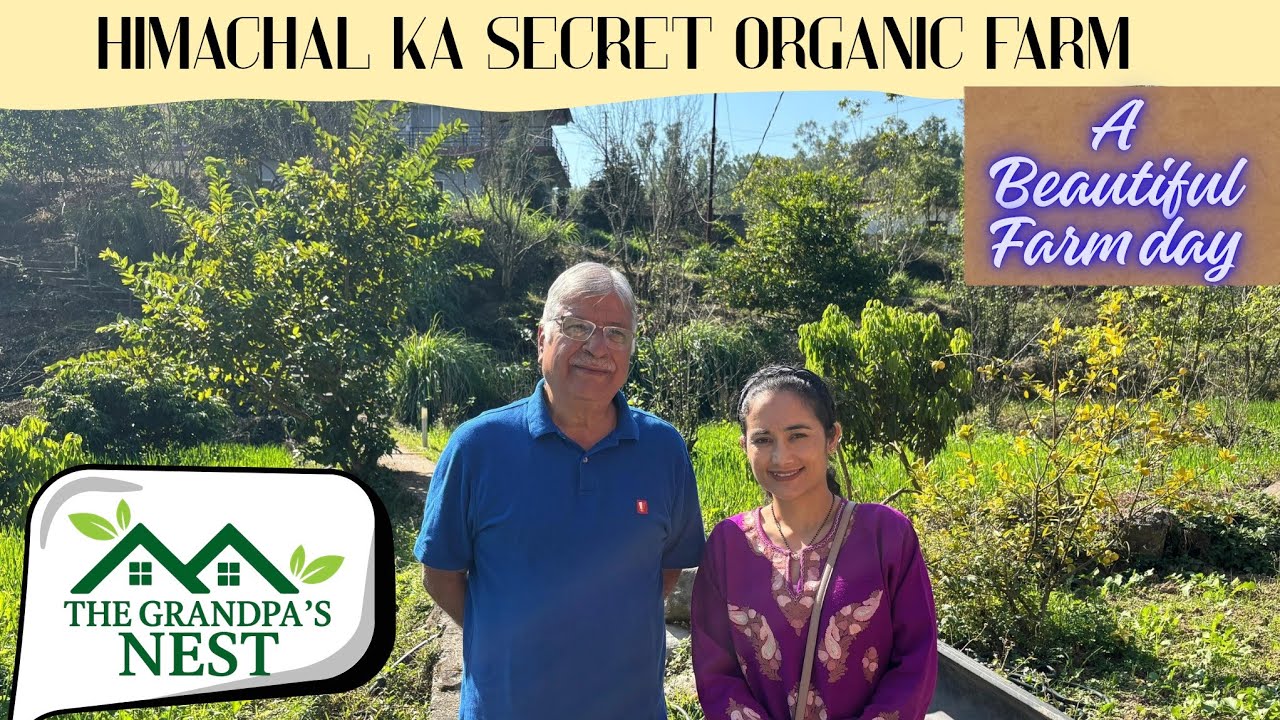 "The Grandpa’s Nest" Organic Farm | Full Farm Tour 
