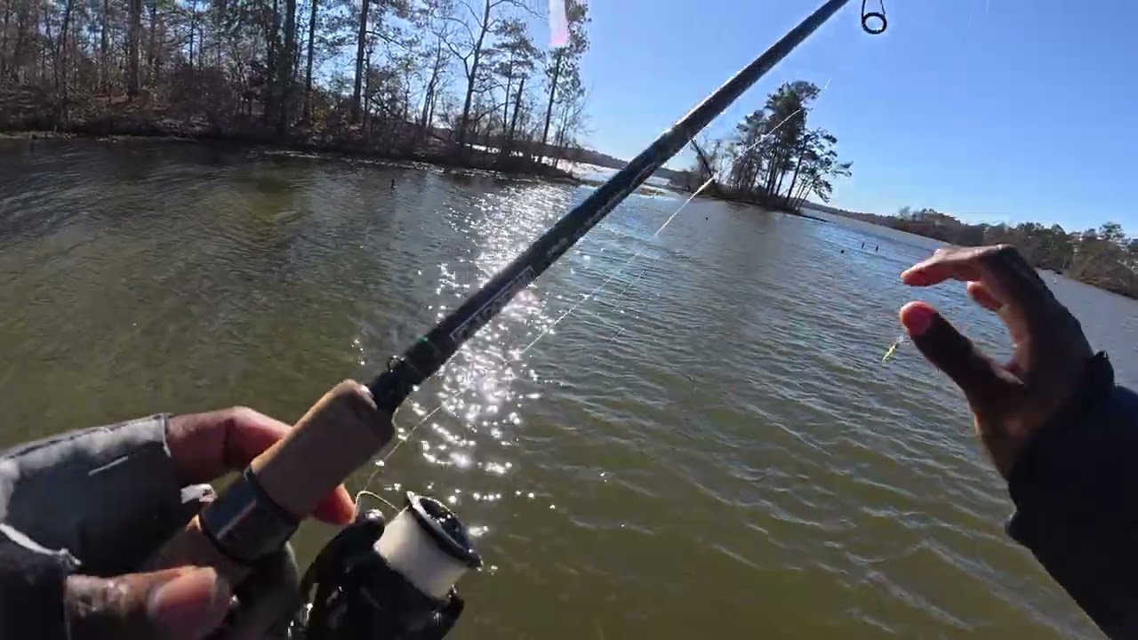 How To Loose Over $100 In Jerkbaits! | The Cornelius Wilkes Show