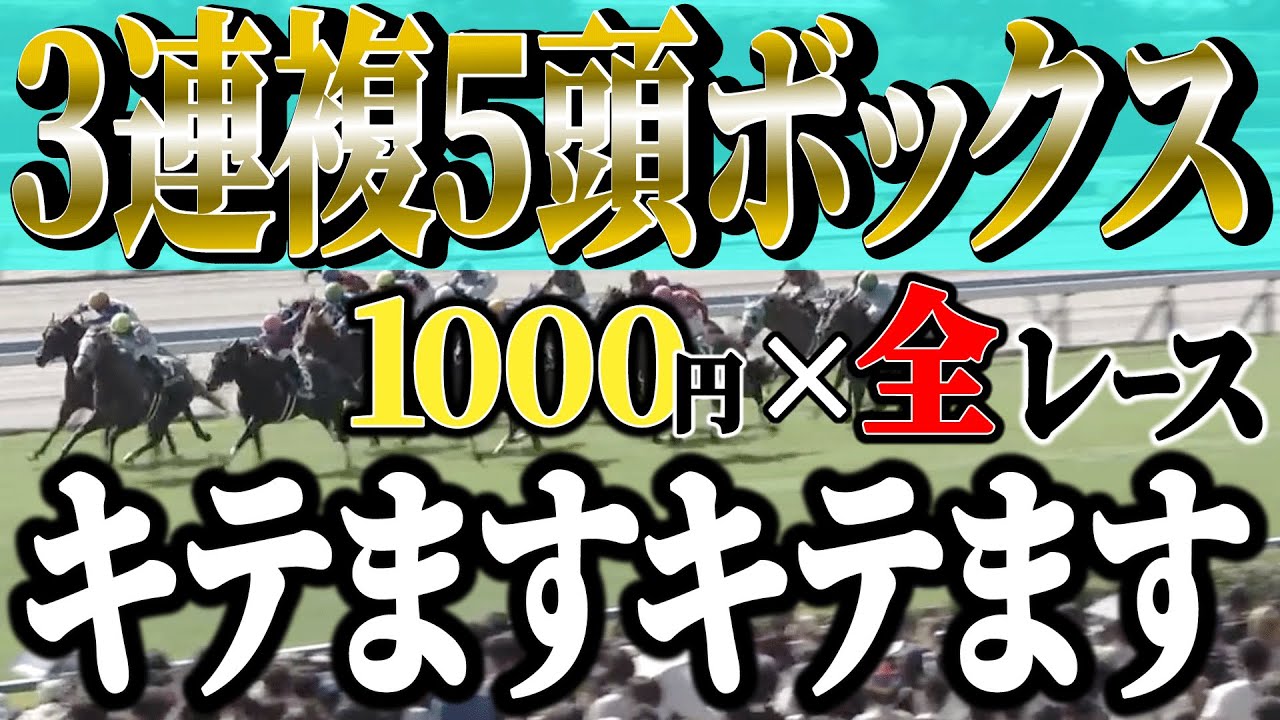 ３連複５頭ボックス１０００円×全レースでどうにかなれっ！【競馬実践】