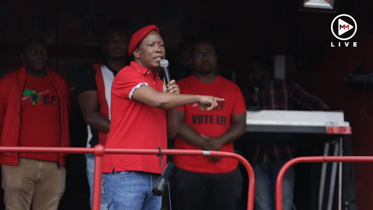 'Pravin is a rotten fruit from a rotten tree' - No holds barred as Malema takes aim at Gordhan