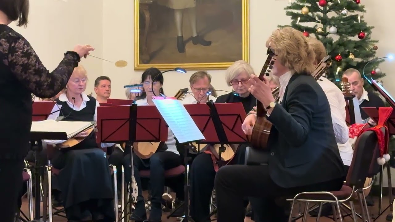 Orchesterquartett C-Dur, Allegro assai (Carl Stamitz)