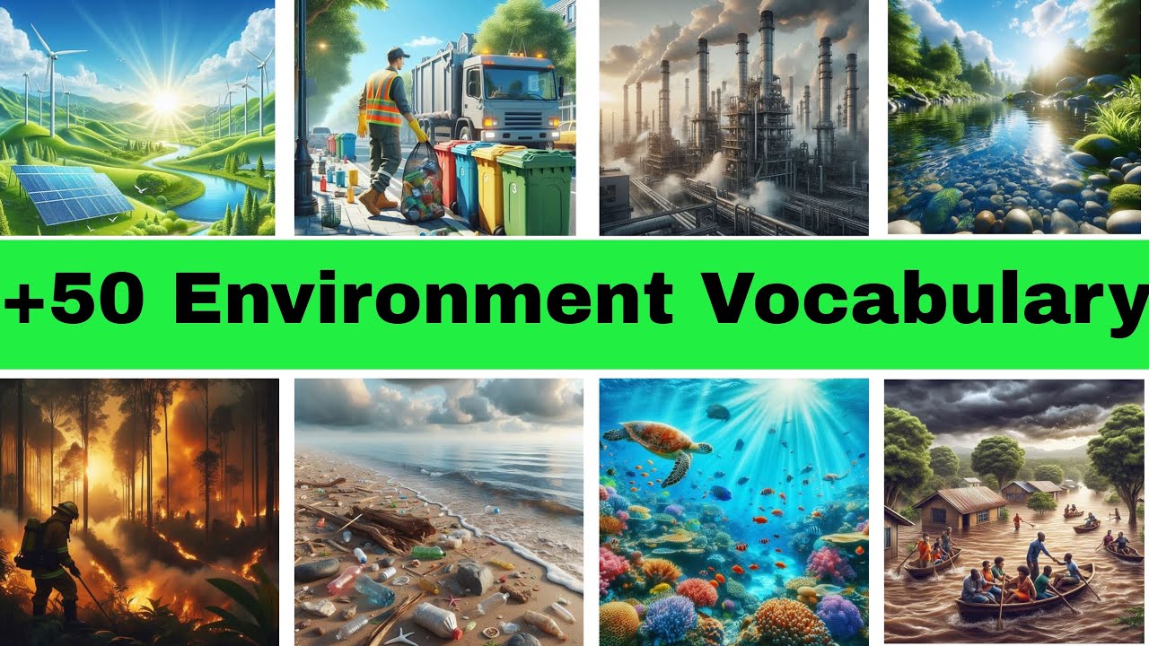 +50 Environmental Vocabulary for Beginners | Easy English Words About Nature and  Earth 🌎 