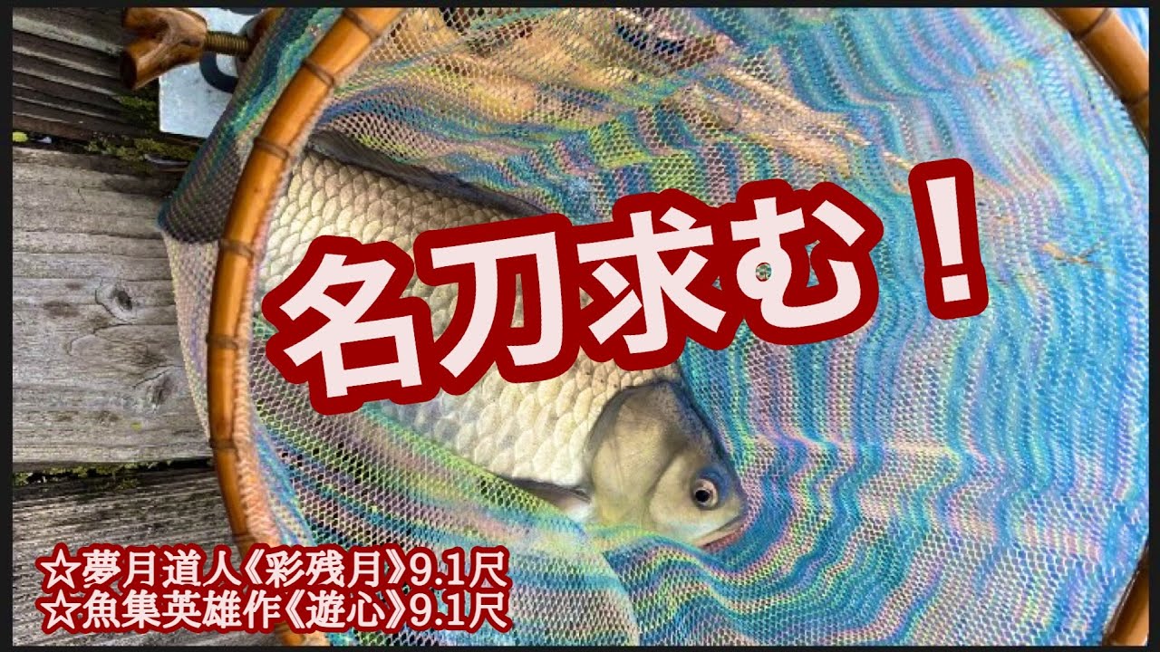 春の信州！『紀州竹竿』へら鮒釣り