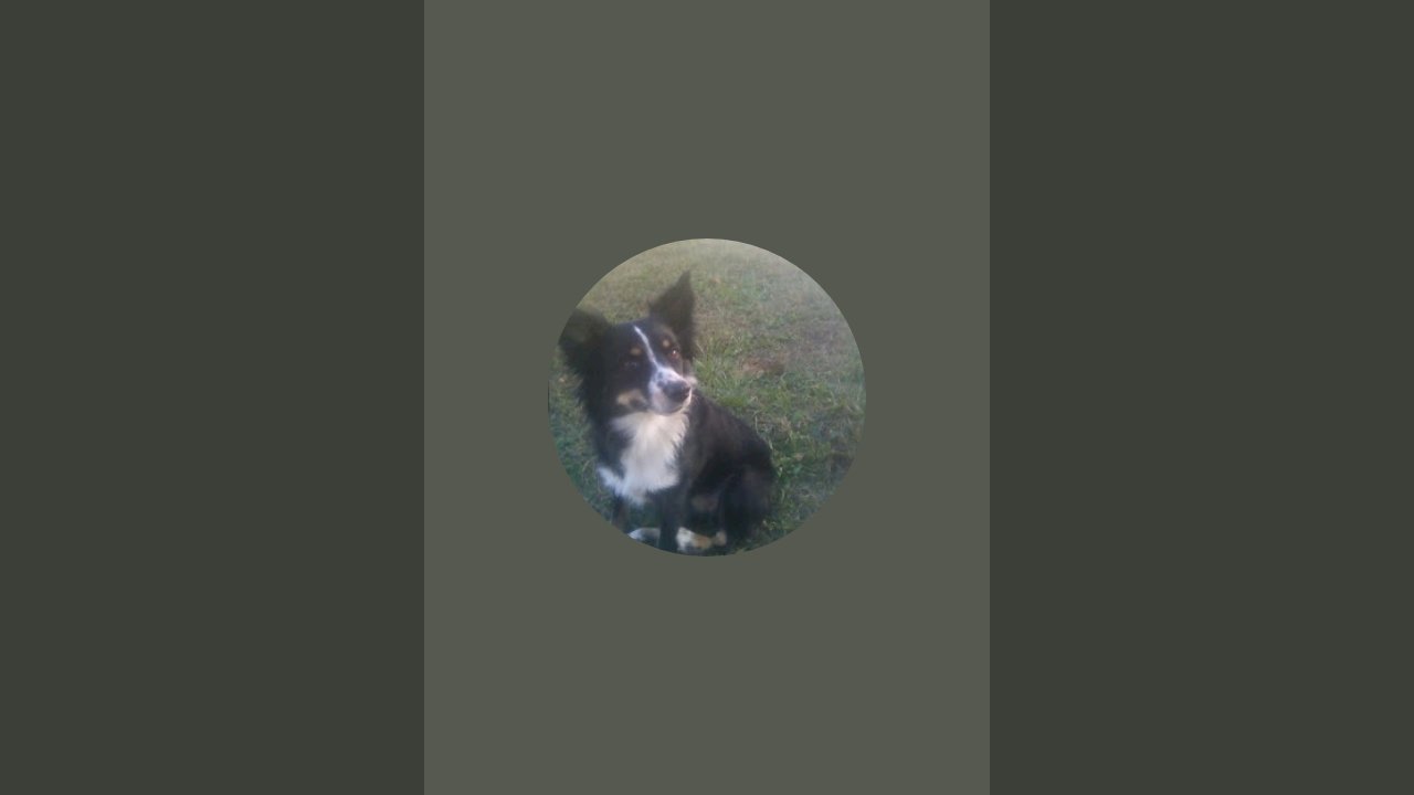 Cosmo  is live!