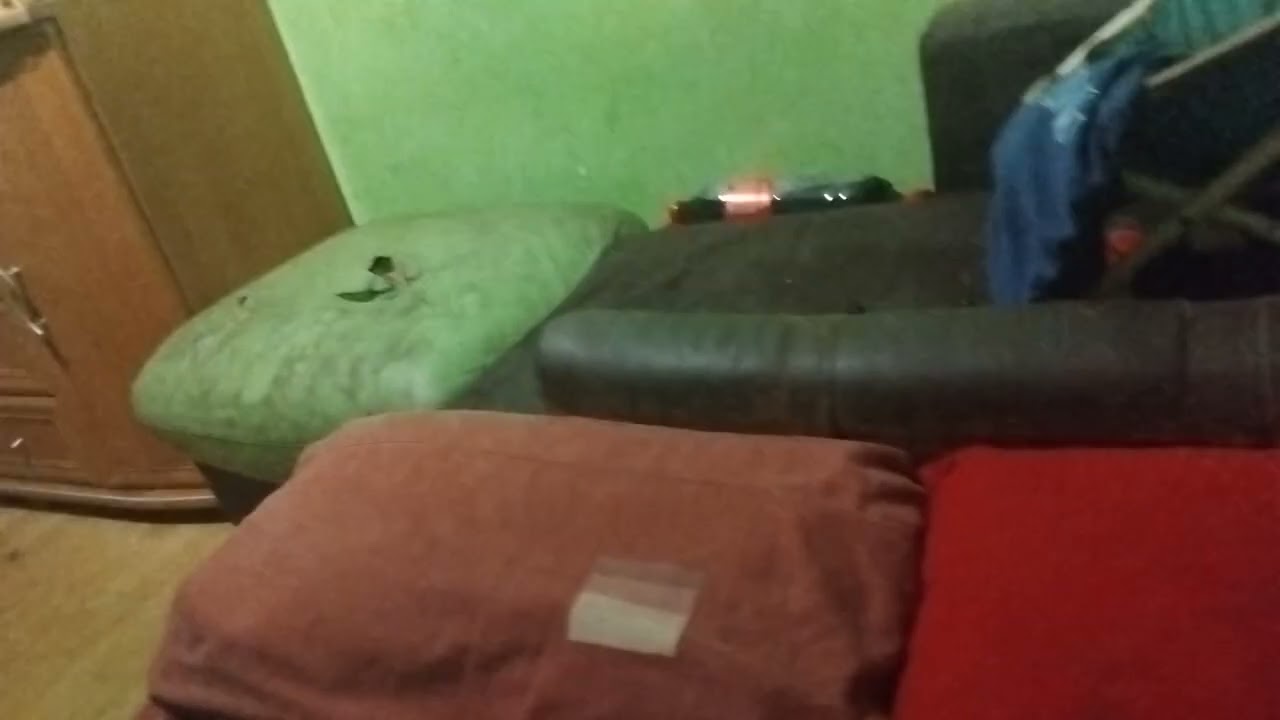 Ban Kanału PatitoTelevisión kaczka Na Motoroli G34 5G 