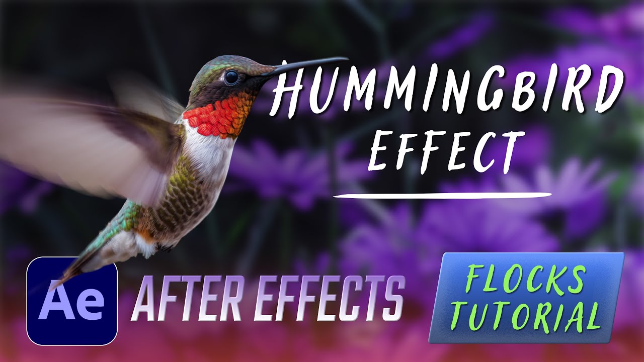 Flying Hummingbird Effect - After Effects / Flocks Tutorial
