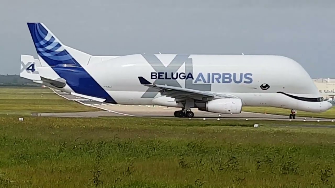 Airbus Beluga XL Super Transporter taking off from Hawarden Airport Broughton Chester.