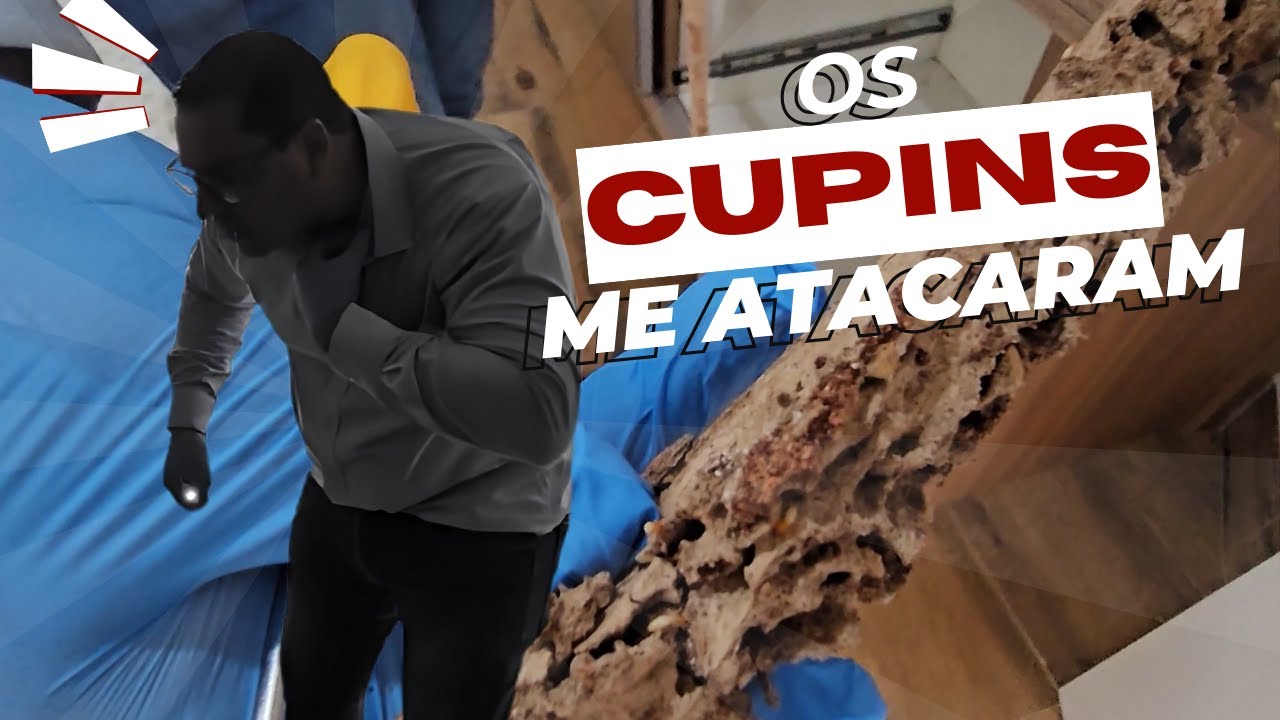 Acabando com os Cupins de Solo - Mais um controle de Cupim Subterrâneo | Gabriel Ambiental