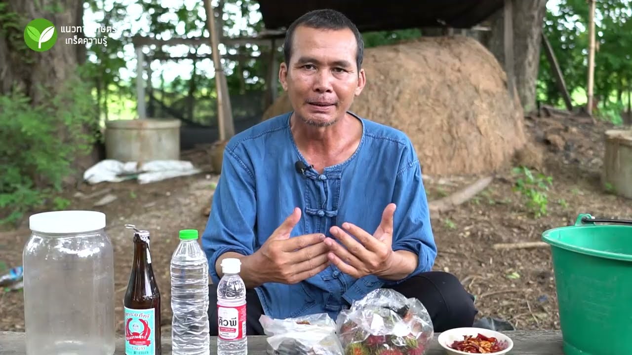 สูตรกำจัดเพลี้ยและเชื้อรา ด้วยสมุนไพรใกล้ตัว #กำจัดเพลี้ย #ป้องกันเชื้อรา #อนิติ