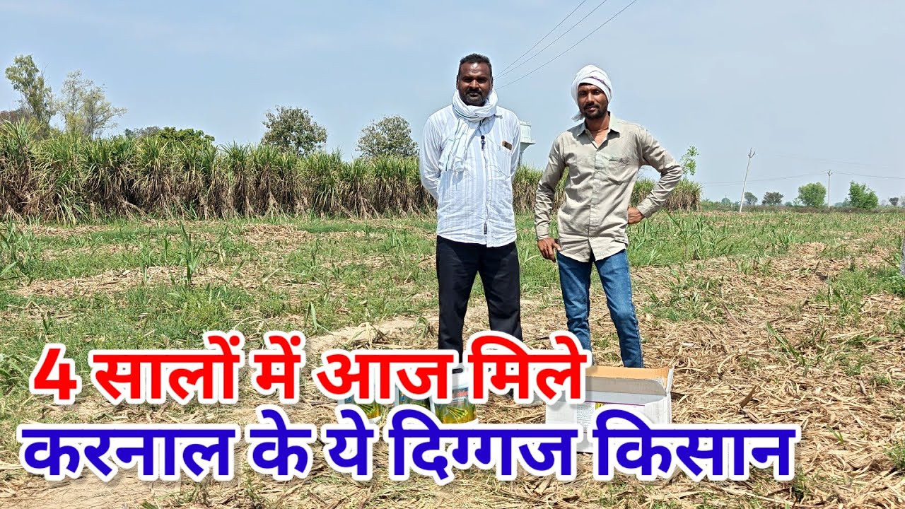 4 सालों में आज मिले करनाल के ये दिग्गज गन्ना किसान । Bhu rakshak carboon kaha se le। #manojrajput 