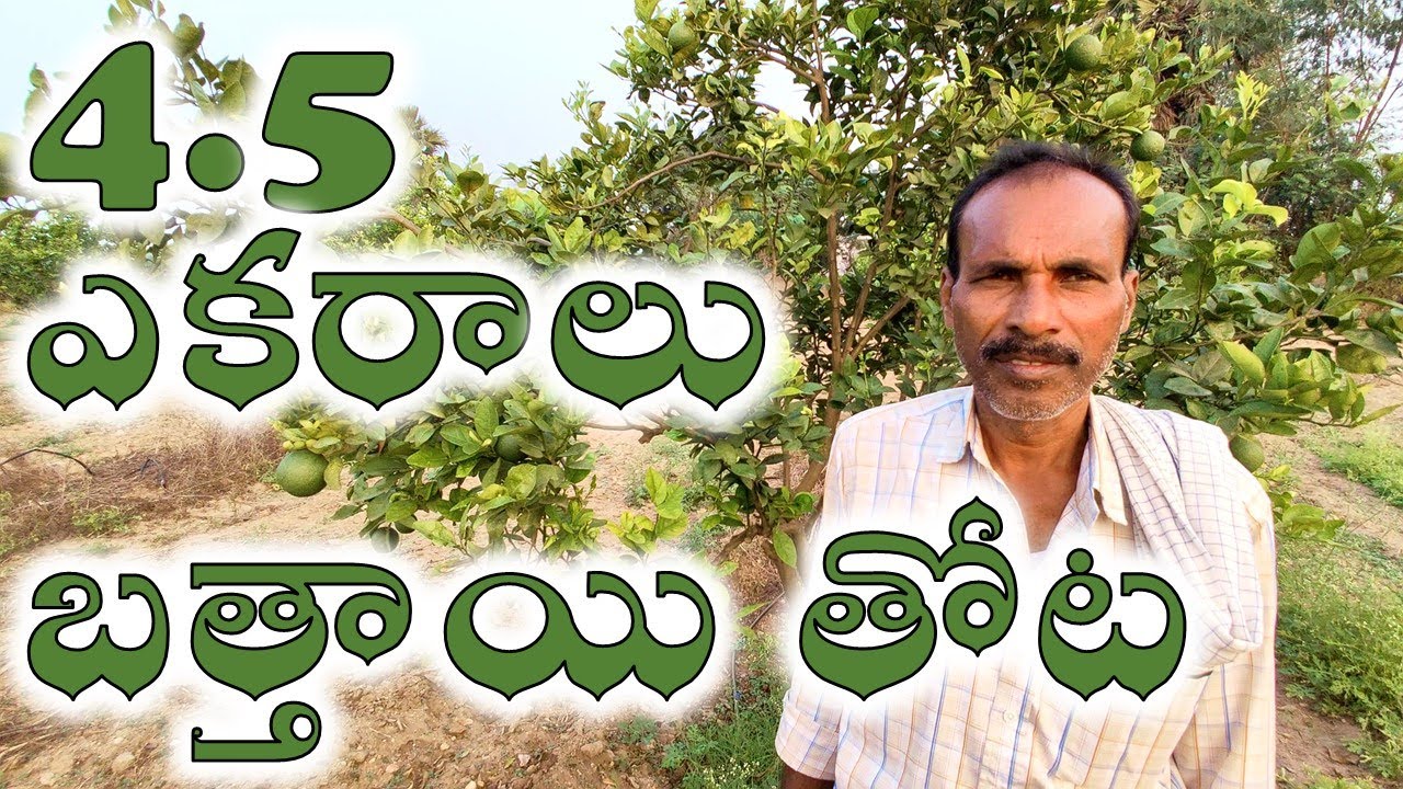4.5 Acres | Telangana's BEST Agriculture Lands for Sale Now