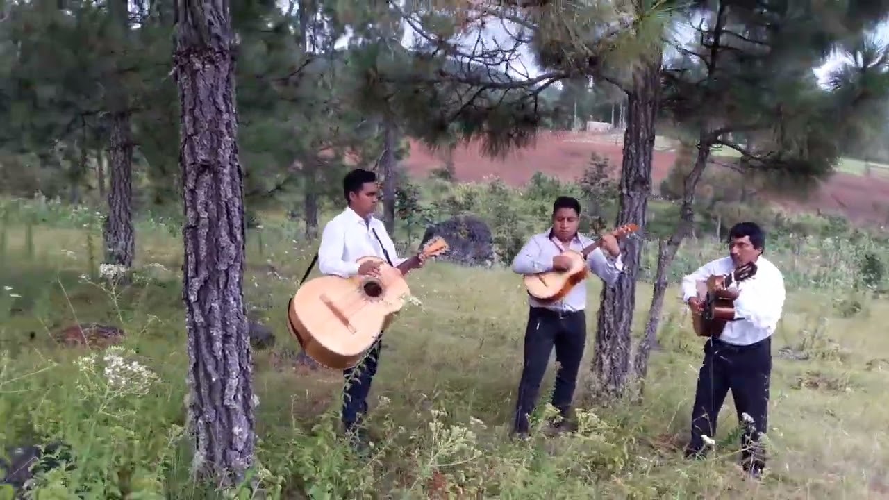 TRIO CRISTO LA LUZ DEL MUNDO...Coritos