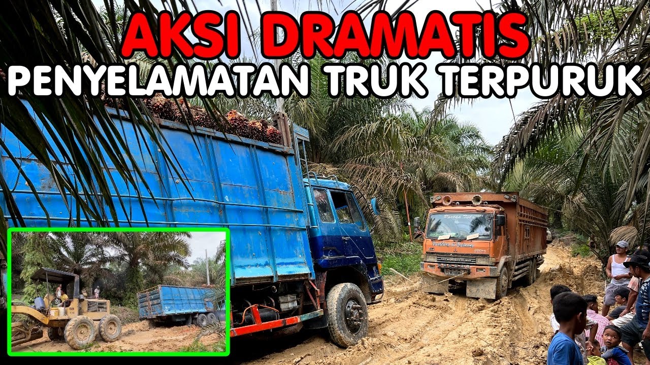 TRUK SAWIT |SUPIR TRONTON MUAT SAWIT NEKAT MENUJU PABRIK !! TARIK MENARIK PAKAI TRUK DAN ALAT BERAT
