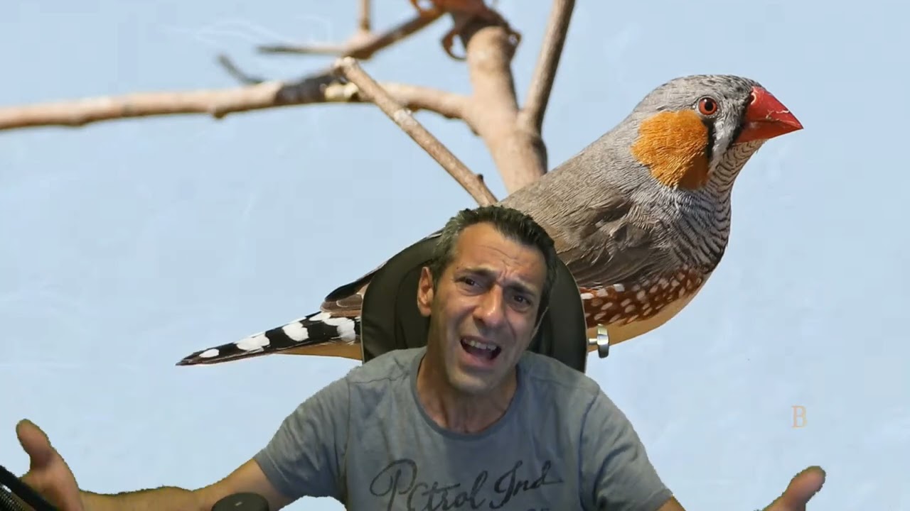 ΖΕΜΠΡΑΚΙΑ ΠΑΡΑΔΕΙΣΙΑ