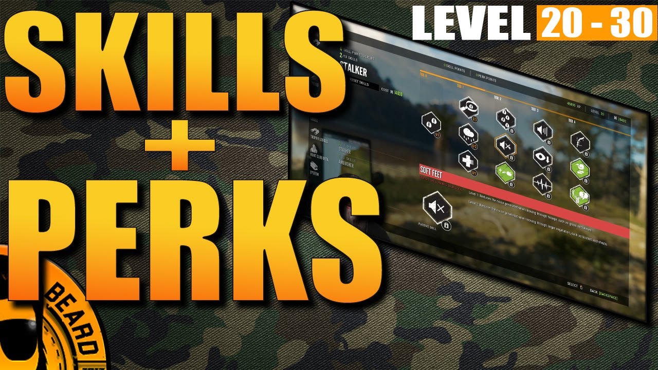 Beginners Series - Skills and Perks 20-30. Which should you use?