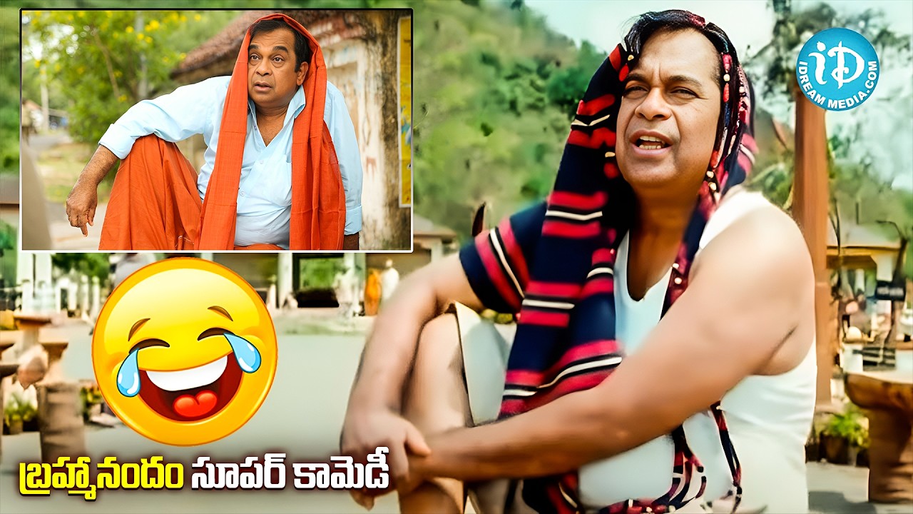 Brahmanandam Back To Back Comedy Scenes | Telugu Comedy Scenes | iDream Vizag