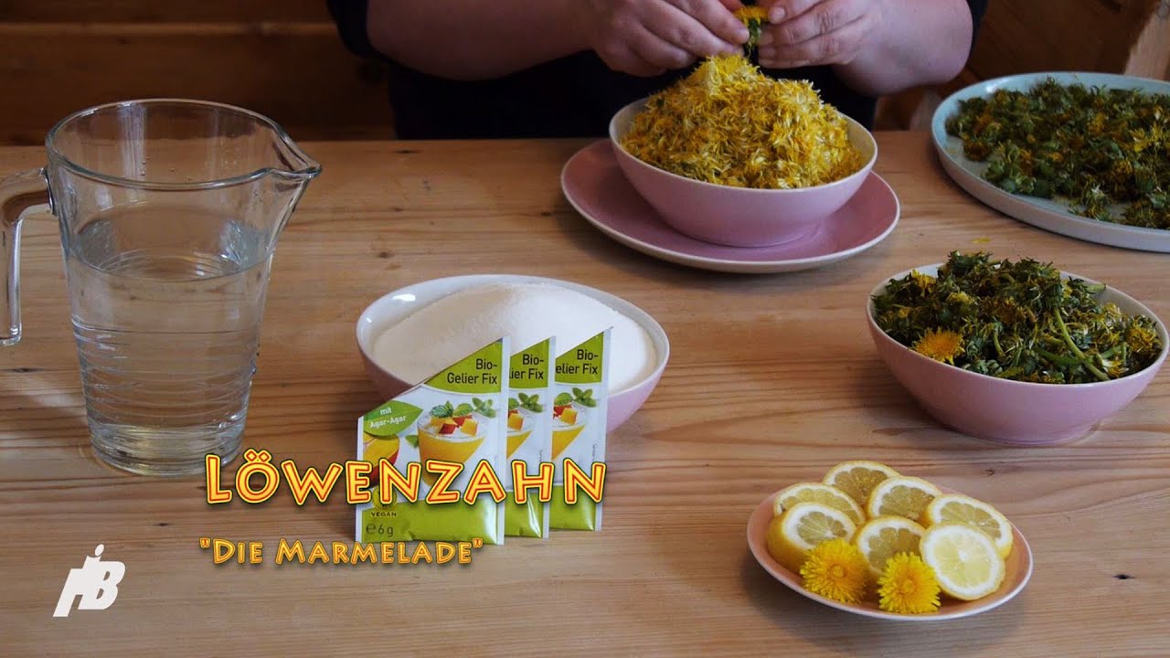 Löwenzahn Marmelade - 003 - Deutsch - CONATURE