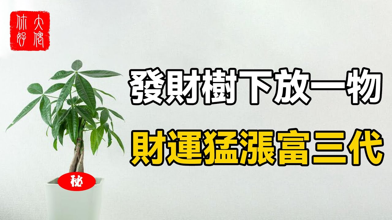 發財樹下擺一物，財運猛漲富三代，旺財旺到人羨慕！