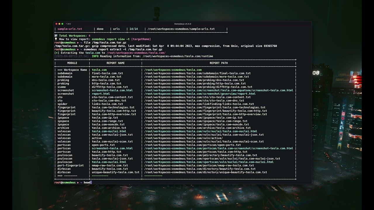 Osmedeus scan demo