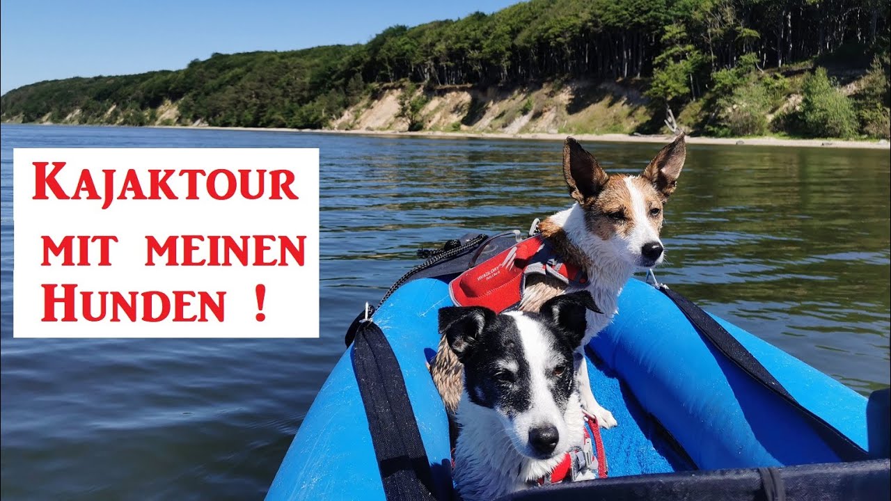 Kajaktour mit meinen Hunden ! Auf dem großen Jasmunder Bodden auf Rügen !