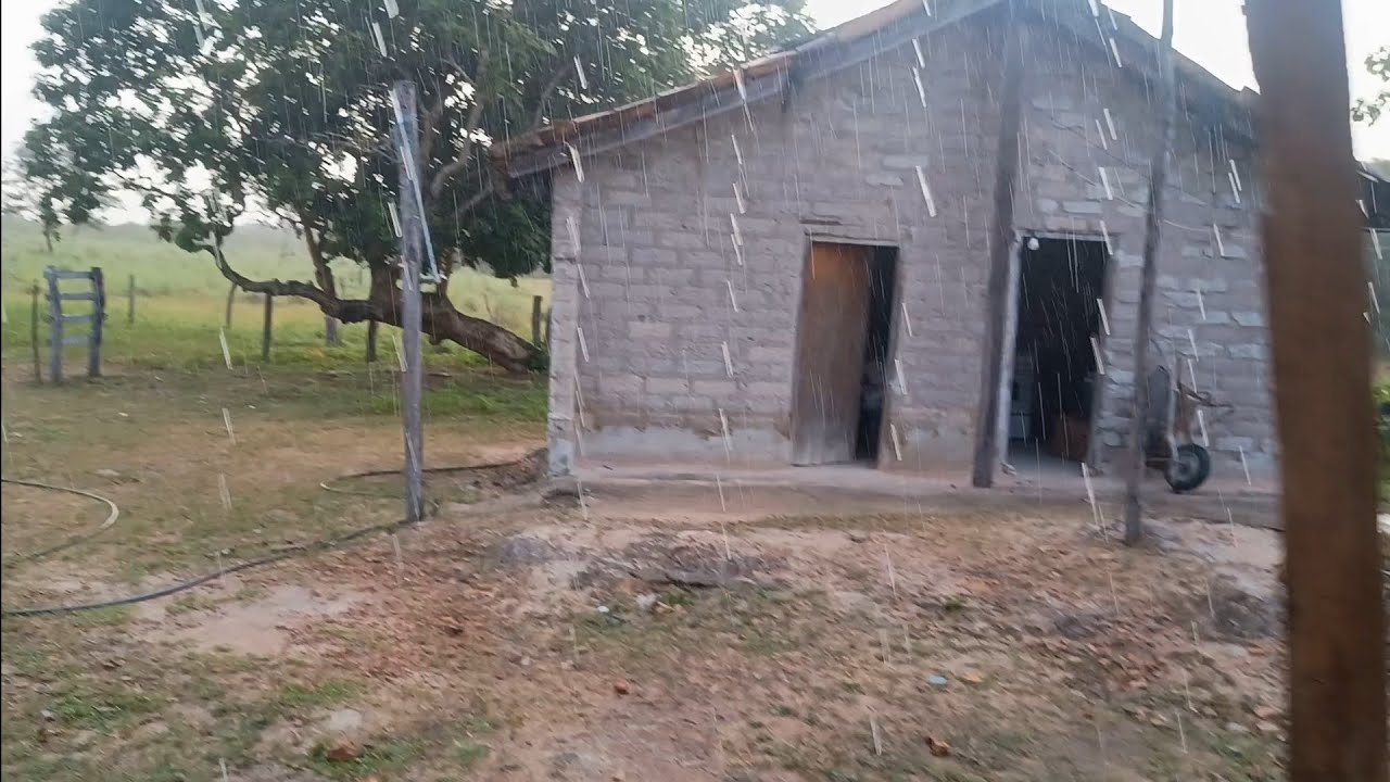Hj aqui na roça amanheceu chovendo 😃