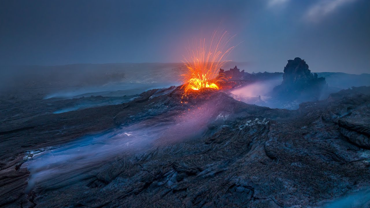 Nature's Rebirth