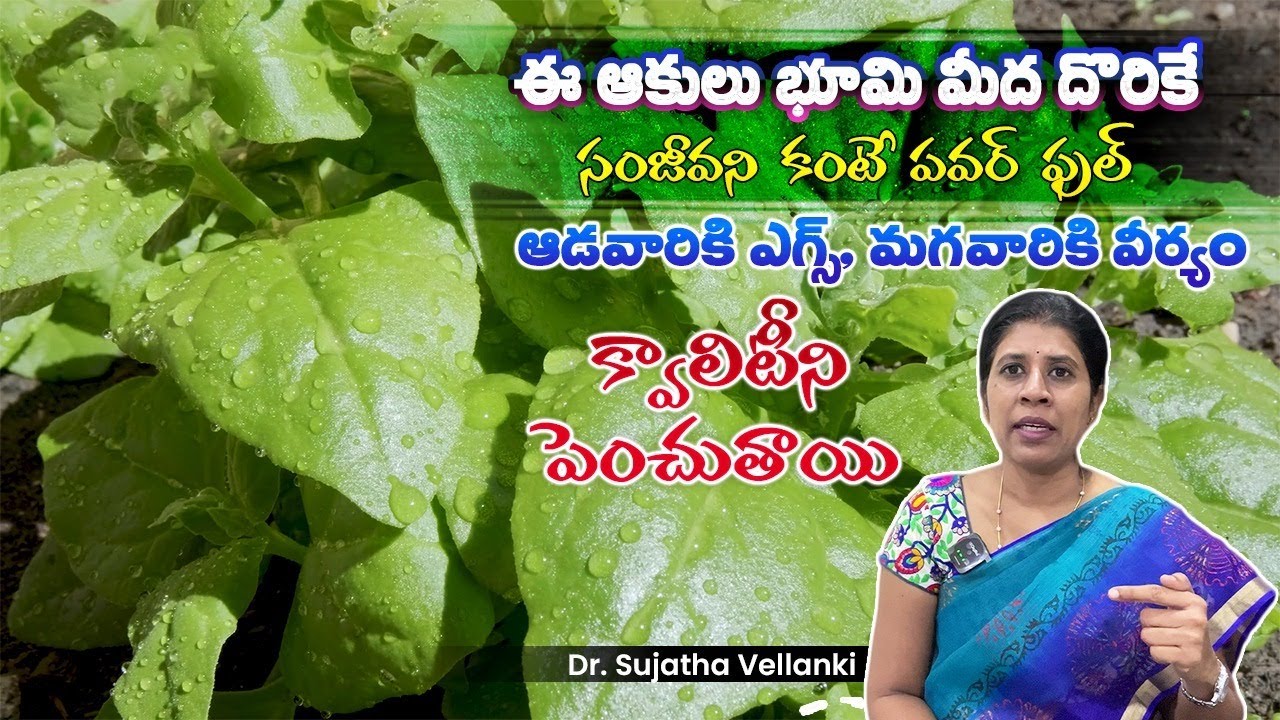 Boost Fertility | మగవారికి స్పెర్మ్ క్వాలిటీ బాగా పెరగాలంటే ? | Dr Sujatha Vellanki #SpermCount