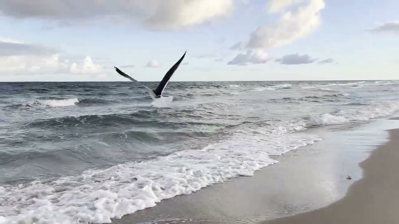 4K After the Storm | Rainbow, Seagulls & Sunset Over the Atlantic 🌈🌊 #nature #ocean #sea