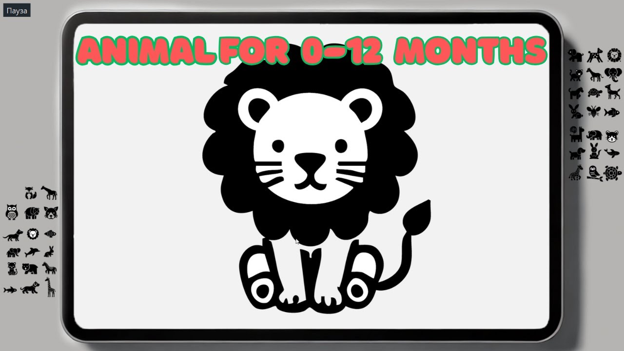 Baby Sensory | Black and white animal cards for the development of babies from 0-12 months