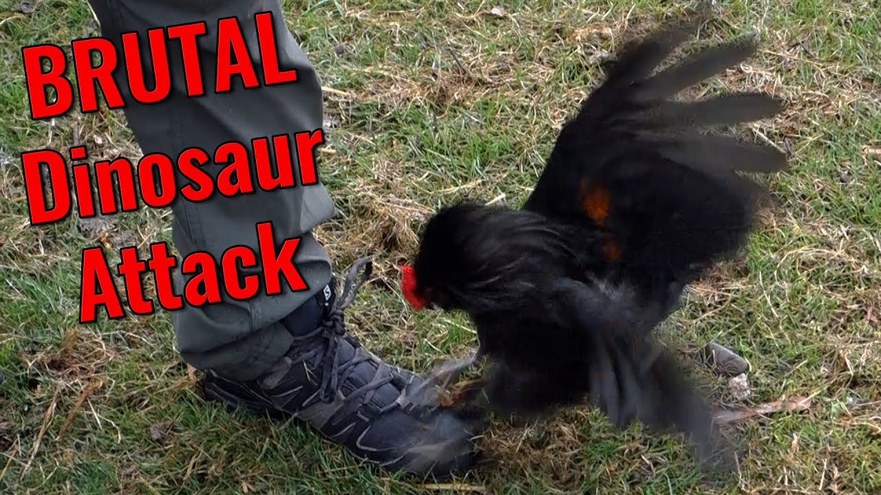 Attacked By A Living Dinosaur! - Walking Around the Dinosaur Island (Part 2)