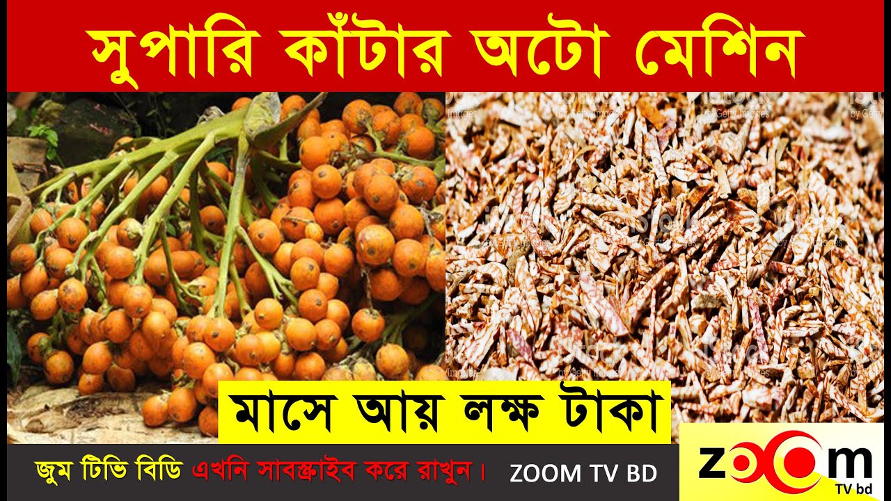 সুপারি কাটিং অটো মেশিন | Supari Cutting Auto Machine | ABC MACHINERY LTD