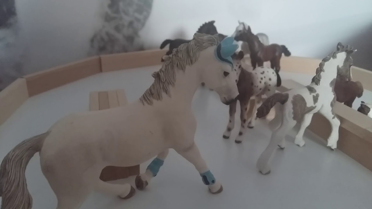 Fohlen Schule Folge 2