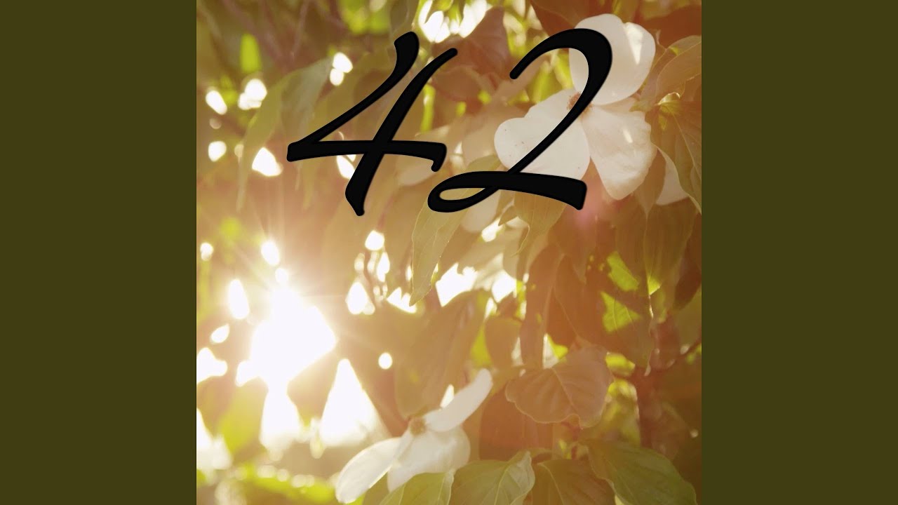 42 - Tribute to Mumford And Sons (Instrumental Version)
