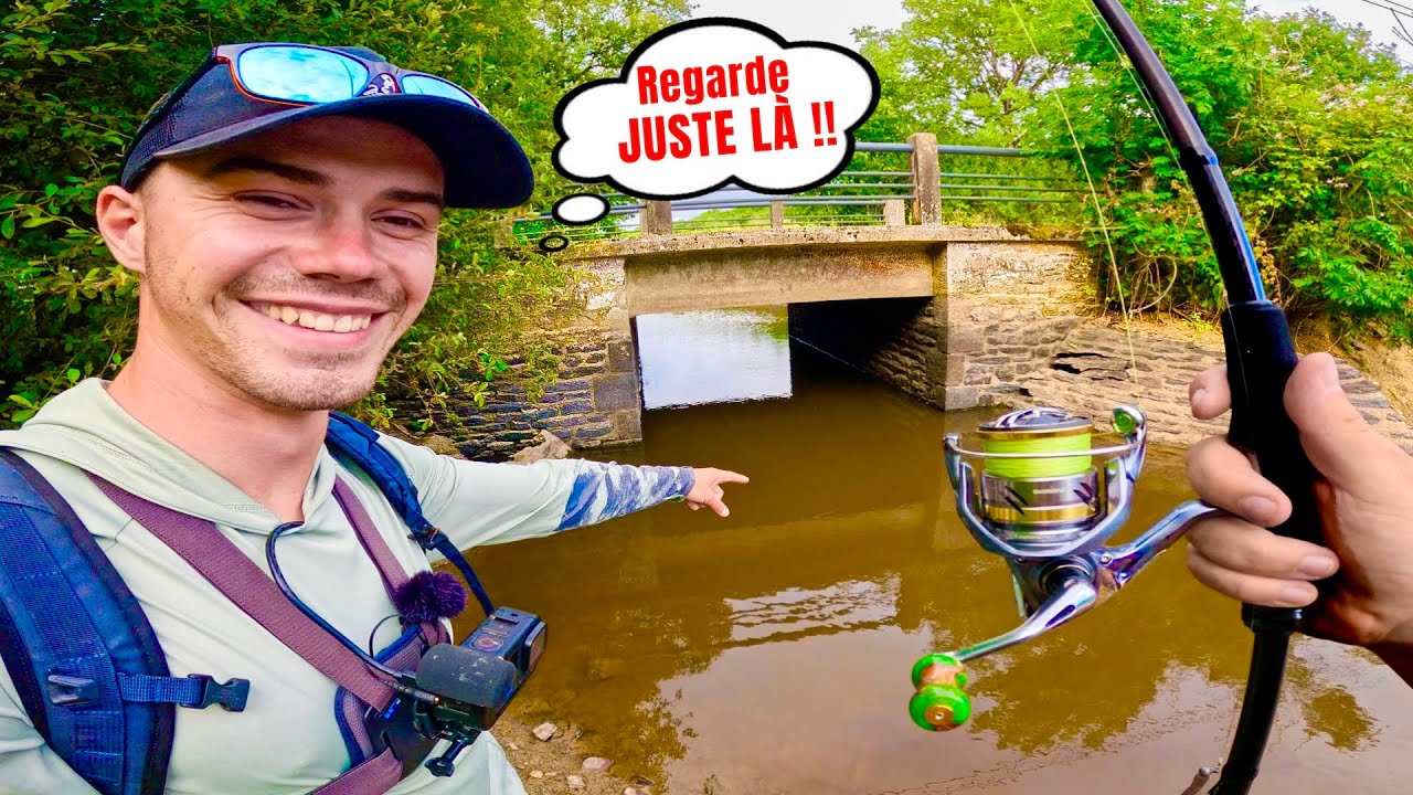 La rivière se vide et dévoile de nouveaux spots de pêche remplis de poissons !! Ft @bardecume