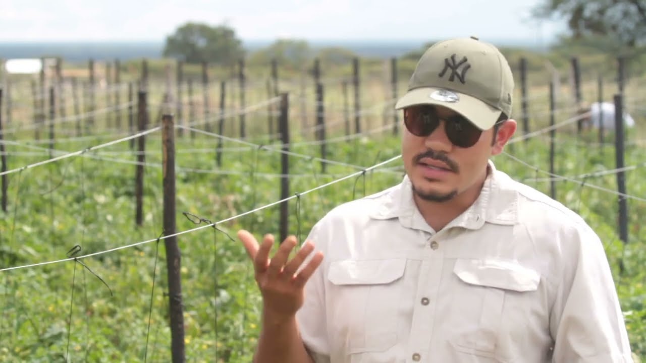 Farmers Voice:  How to make a living in Horticulture (Episode 6 )