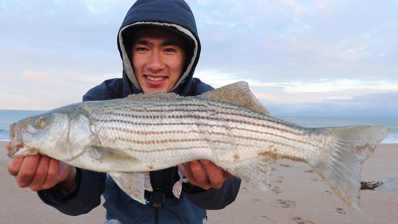 The One Day I Don't Want to Catch Striper - Sand Crab Classic 2019