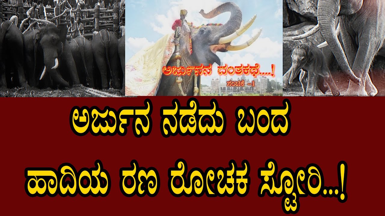 ಅರ್ಜುನ ನಡೆದು ಬಂದ ಹಾದಿಯ ರಣ ರೋಚಕ ಸ್ಟೋರಿ...!| NAMMA TV MYSURU