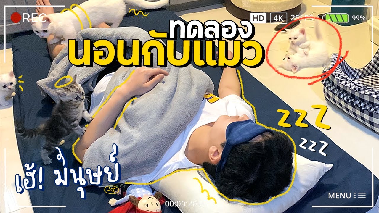 ตั้งกล้องส่อง