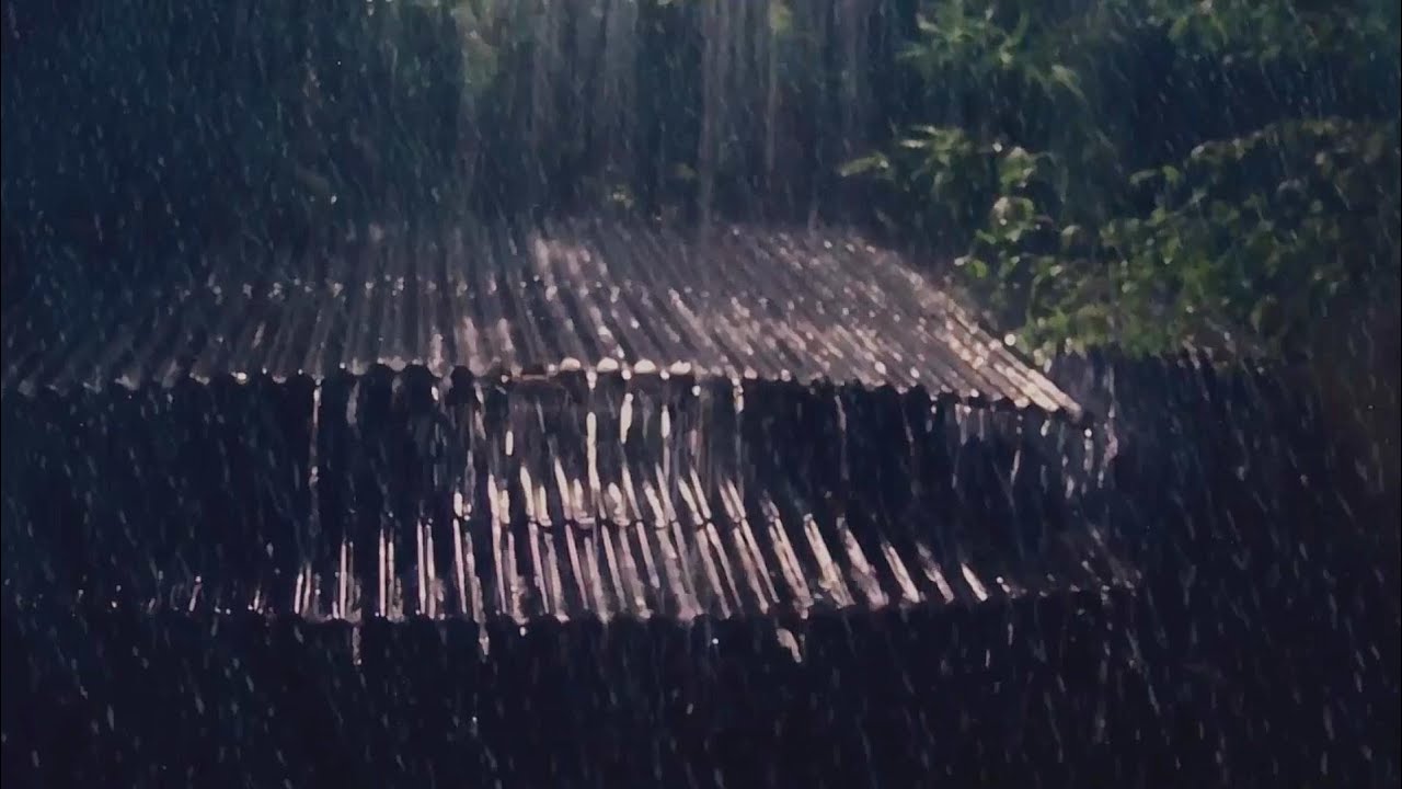 Relaxing Rain & Thunder Sounds on a Cozy Cabin Roof for Better Sleep
