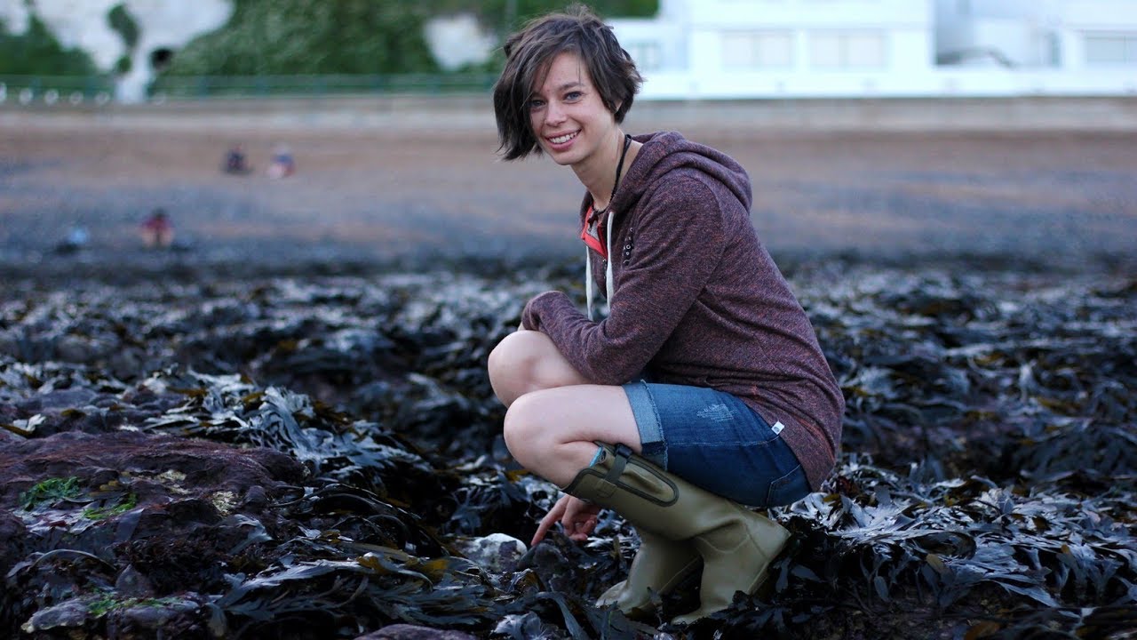#BBCEarthPresenterSearch - 60 Second Seashore: The Common Limpet