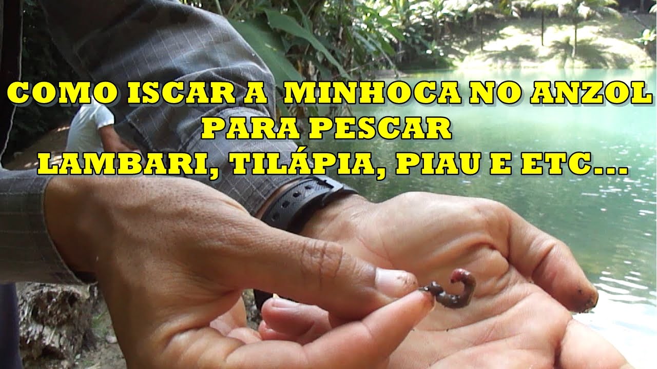 43 - COMO ISCAR A MINHOCA NO ANZOL PARA PESCAR LAMBARI, TIL&Aacute;PIA, PIAU E ETC ...