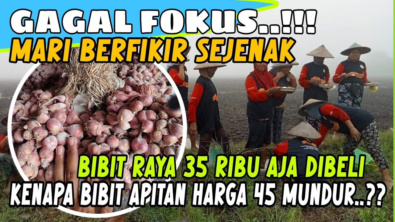 FAKTA YANG JARANG DIMENGERTI‼️AYO...KAWAN JANGAN SAMPAI HARAPAN HANYA JADI KHAYALAN