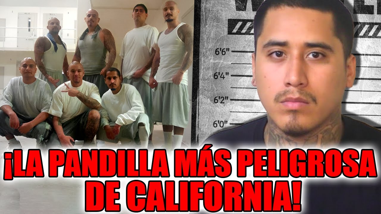 Fresno Bulldogs son los REYES de las calles californianas! &iexcl;Los C&Aacute;RTELES LES TIENEN MIEDO!