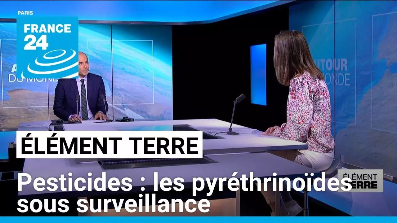 Effets des pesticides sur la santé : les pyréthrinoïdes sous surveillance • FRANCE 24