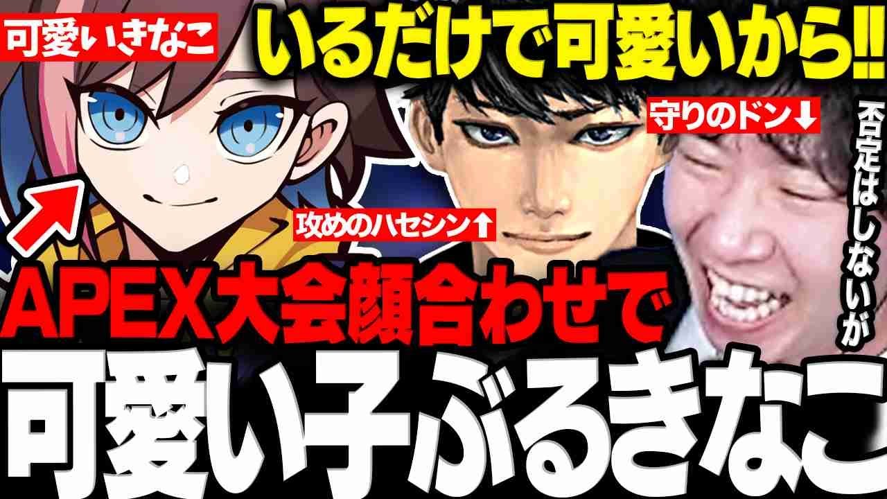 【APEX】顔合わせで可愛い子ぶるkinakoに笑うTIE RECON CUP顔合わせまとめwww【三人称/ドンピシャ/きなこ/ハセシン/切り抜き】