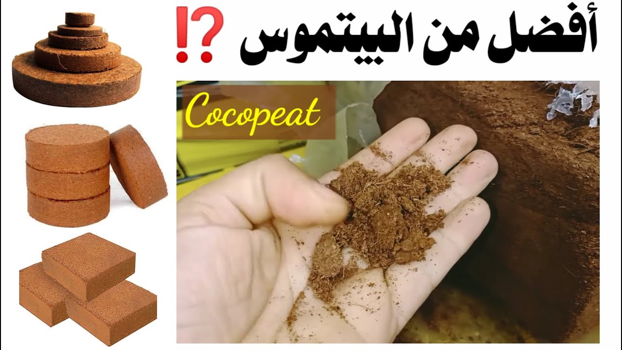 كوكوبيت أو بيتموس، ما الفرق و ما هو الكوكوبيت cocopeat