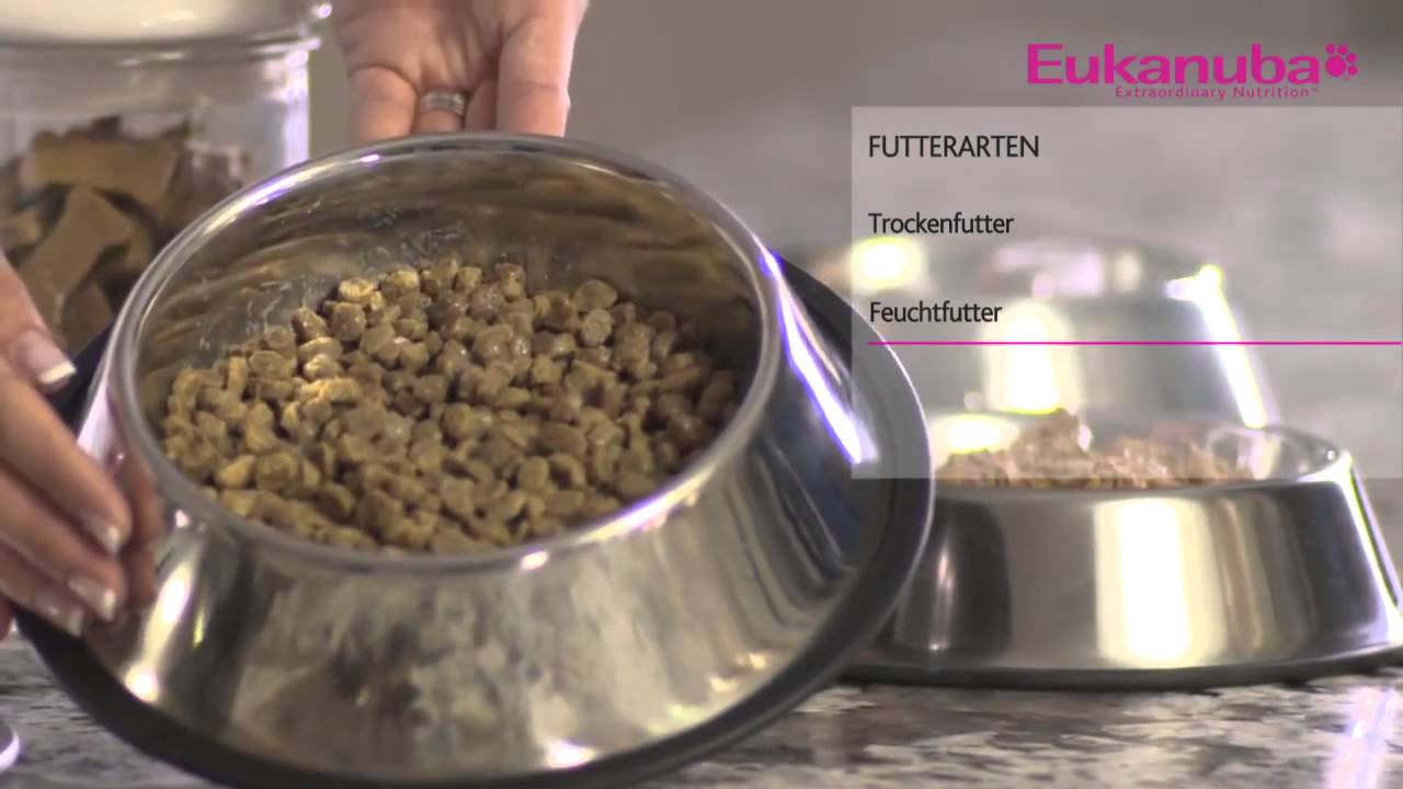 Das richtige Futter für Ihren kleinen Welpen  Eukanuba Welpen Videos mit Dr Wolf