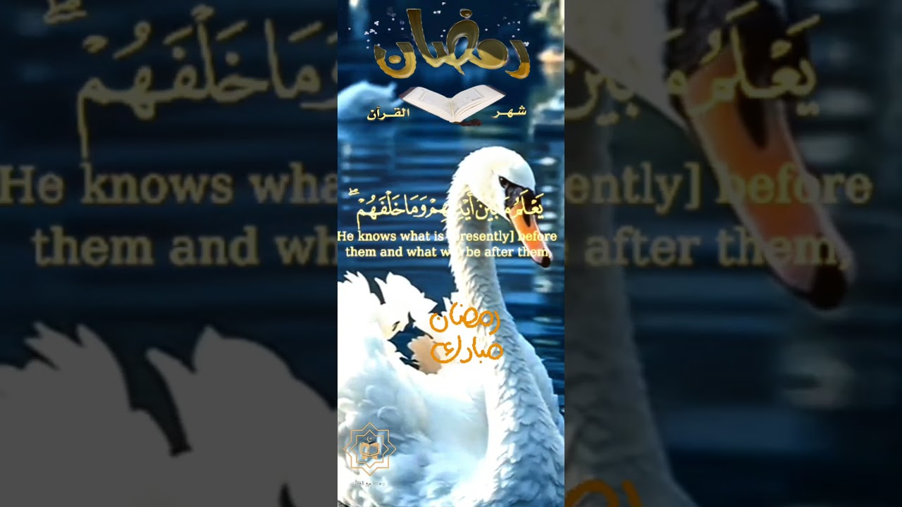 اية الكرسي بصوت الشيخ سعد الغامدي