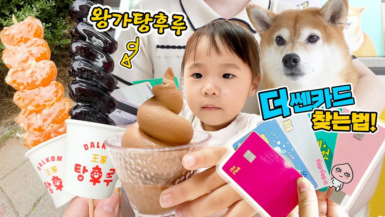드디어 왕가탕후루 먹어봤어요/ 현명하게 소비하는 방법 더쎈카드/초코 아이스크림 먹고 행복한 아기 솜솜 /눈물의 전시회 팀보타전 탐화림